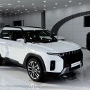 2025 토레스 1.5 가솔린 터보 T7 그랜드 화이트/브라운 전시차 후기, 포토 제원 모의견적