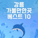 아미고파파