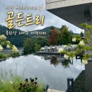 Apple tree PC카페 | 가평 골든트리 베이커리카페｜북한강 리버뷰·잔디정원 아이와 방문 후기