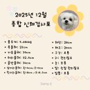 댕큐 | 대구애견유치원 댕큐 후기 ㅣ 대구독피트니스 + 수중재활까지 가능한 찐빵이 첫 등원기 !