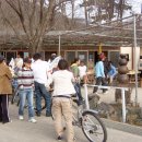 등나무집민박 이미지