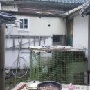 백마로502번길 이미지