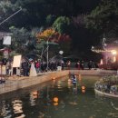 정원비디오 이미지