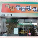 노은동물병원 이미지