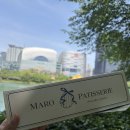 마로 | 잠실마들렌 찐맛집 발견! 송리단길베이커리카페 마로 파티세리 후기