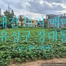 장대푸르지오공인중개사사무소 | 대전 유성구 장대동 토지 매매