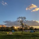 강남-119 이미지