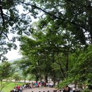 산약초이야기 - 남양주시 | 산약초이야기