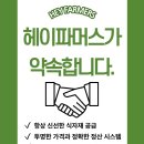 헤이파머스