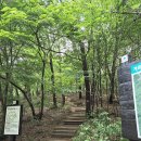대전 수통골 도덕봉 등산 코스 지도, 산행 후기, 소요 시간