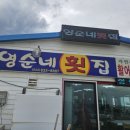 고성횟집 | 강원도 고성 로컬 맛집 영순네횟집 모듬회 후기