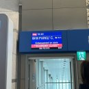 와이케이호텔 | 인천-파리 티웨이항공 프리미엄 이코노미 후기, 기내식, 비행꿀템추천