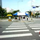 구청 앞 횡단보도 이미지