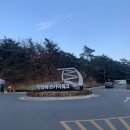 TMI 넘치는 단양여행 2탄 / 단양 만천하스카이워크 / 구경시장 흑마늘누룽지닭강정, 단양마늘만두...