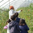 세농부 네이버블로그