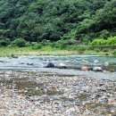 강가의 아침 민박 이미지