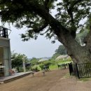 고요다락 이미지