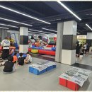 용인대국가대표태권도장 이미지