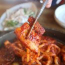 조가네 갑오징어 이미지