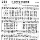 243 이미지
