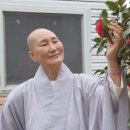 자재병원 이미지