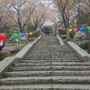 향일암공영주차장 | [여수 여행/구경] 가볼 만한 절 일출 명소 금오산 향일암(공영주차장) 후기