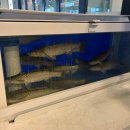 경대병원 1번출구 교통섬 | [대구/삼덕동] 회가 엄청청 맛있는,, 근데 또 스끼다시가 너무 많은,, 근데 또 너무 맛있는 :: 환호섬