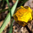 화신식물원 이미지