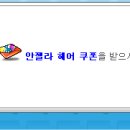 안젤라헤어 이미지