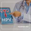 어룡역 이미지