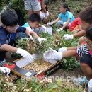동부초등학교율포분교장 이미지
