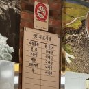 안트레오젠 | 제주 애월은혜전복 제주애월본점 전복죽 전복성게물회 후기