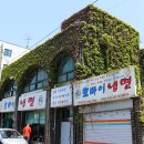 부루나뽀빠이 Daum카페
