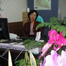 행운공인중개사사무소 이미지