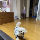 몽실멍실 이미지