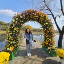 국화전시회 버스킹 문화공연 | 제22회 백제고도 부여국화축제 방문기 후기