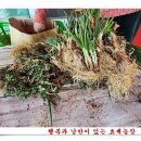 이현농장 이미지