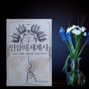인삼의 세계사 이미지