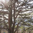 개곡2리 마을회관 이미지