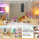 골드 캐터리 이미지
