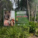 와일드 동물병원 이미지