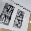 흰돌의원 이미지