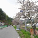 운곡리경로당 티스토리