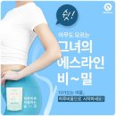 하루비움 에버봄비비 슬림해지는데 성공!