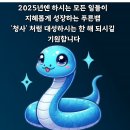 24년 마무리 잘 하시라고 25년 푸른뱀이 마중나왔습니다^^ 이미지