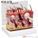 G3751 이미지