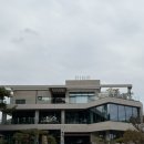 진례 | 김해) 진례 🐾 [내돈내산 후기] 김해 진례 대형카페 카페파인🌳 반려견 야외 동반 가능카페✨