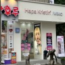 윙크렌즈스토어노원점 | [내돈내산 렌즈] 하파 크리스틴 ‘윙크 렌즈 스토어 노원점’ 리뷰