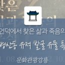 강릉원주대학교박물관 이미지