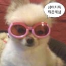 수타사힐링캠프 이미지